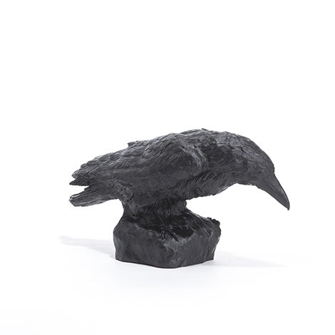 Raven head down, 2005 by Ottmar Hörl
